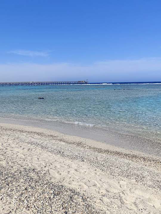 Strand Pickalbatros Sea World Resort - Marsa Alam