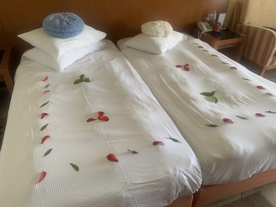 Zimmer Cleopatra Luxury Beach Resort Makadi Bay - Adults only