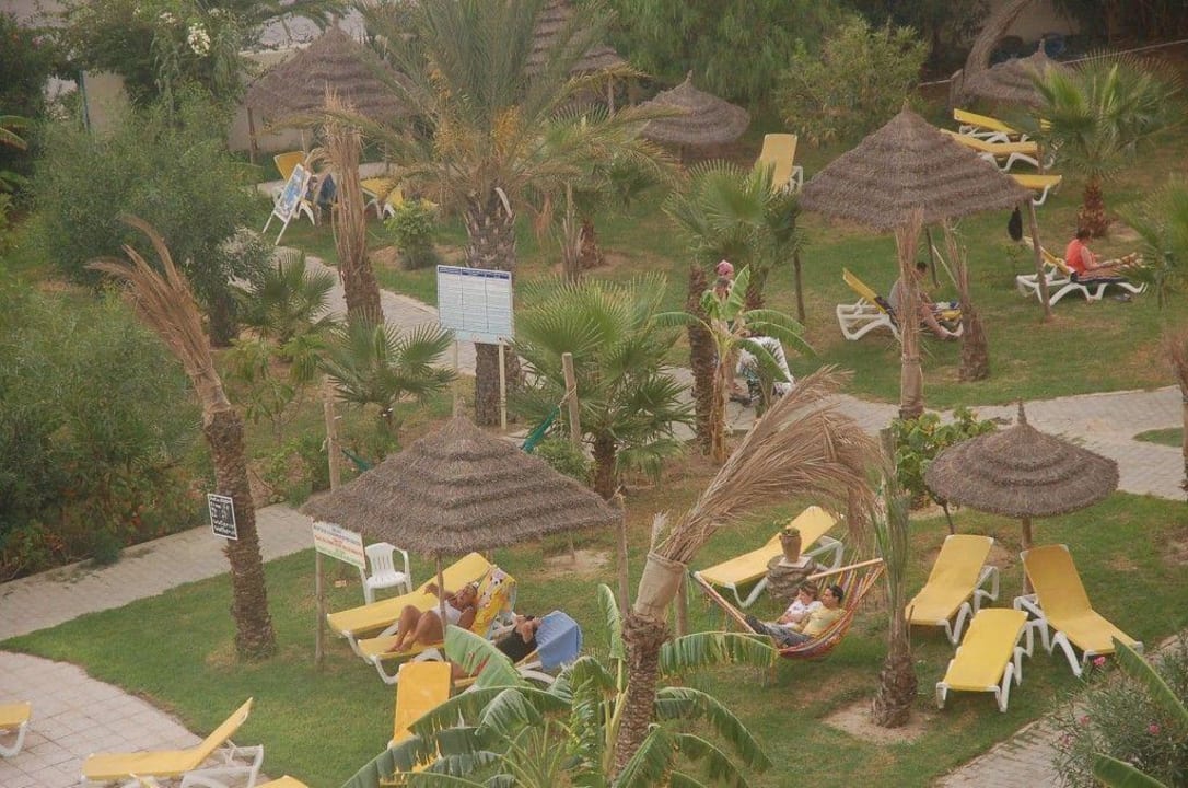 Blick auf die Poollandschaft Hotel African Queen