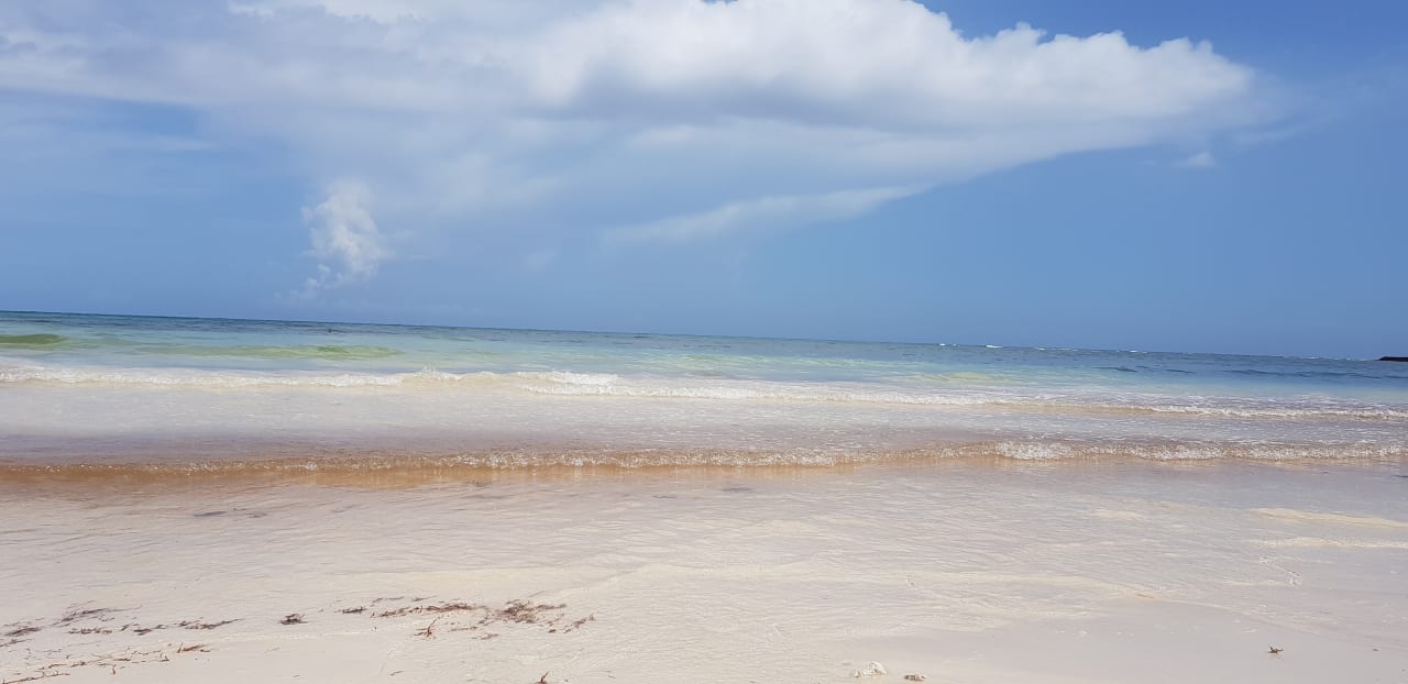 Strand TRS Yucatan Hotel - Adults only