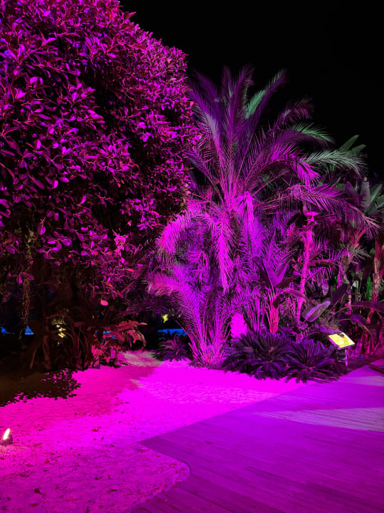 Gartenanlage Maxx Royal Belek Golf Resort