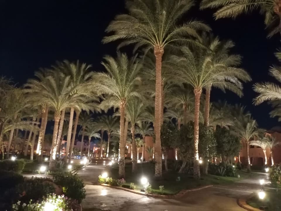 Gartenanlage Jaz Makadi Oasis Resort