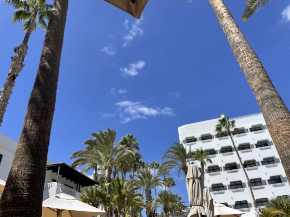 Außenansicht Corallium Beach by Lopesan Hotels - Adults only