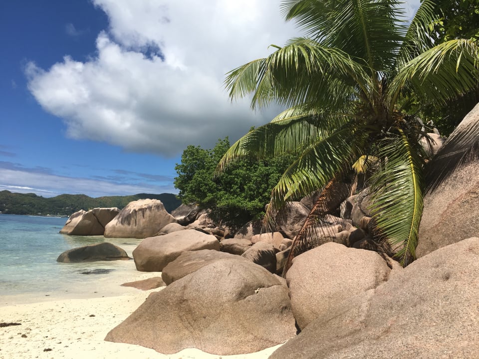 Strand Hotel New Emerald Cove