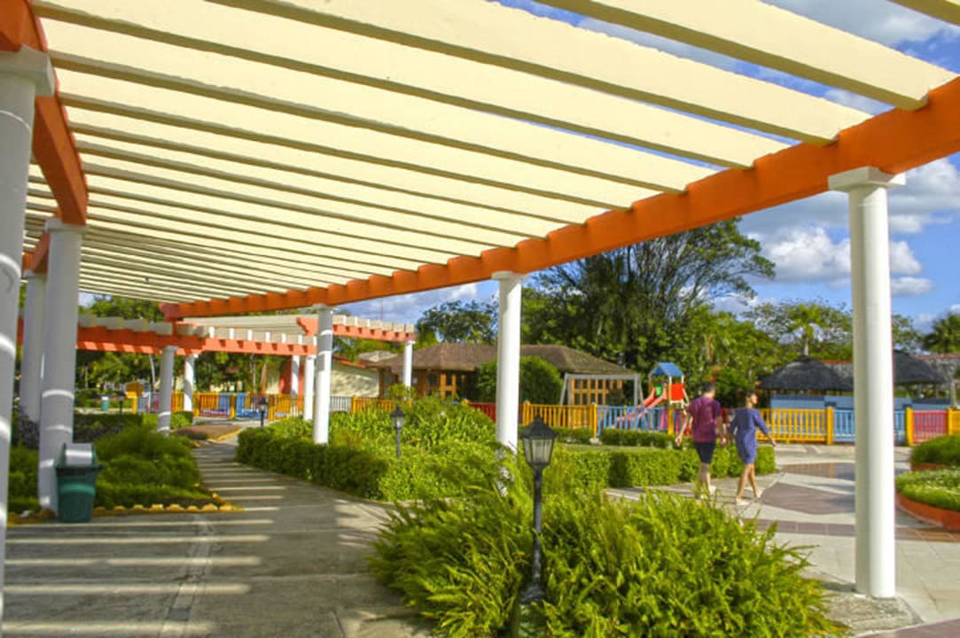 Garden Starfish Cayo Guillermo