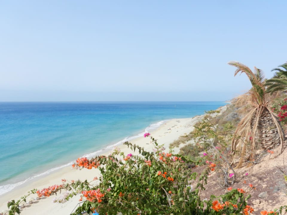 Meer SBH Club Paraiso Playa