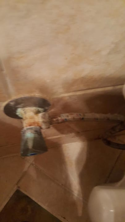 Zimmer Ghazala Gardens