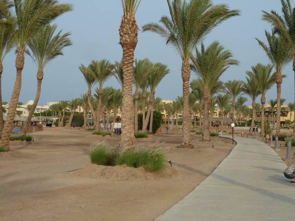 Walking-Laufstrecke Steigenberger Coraya Beach - Adults only