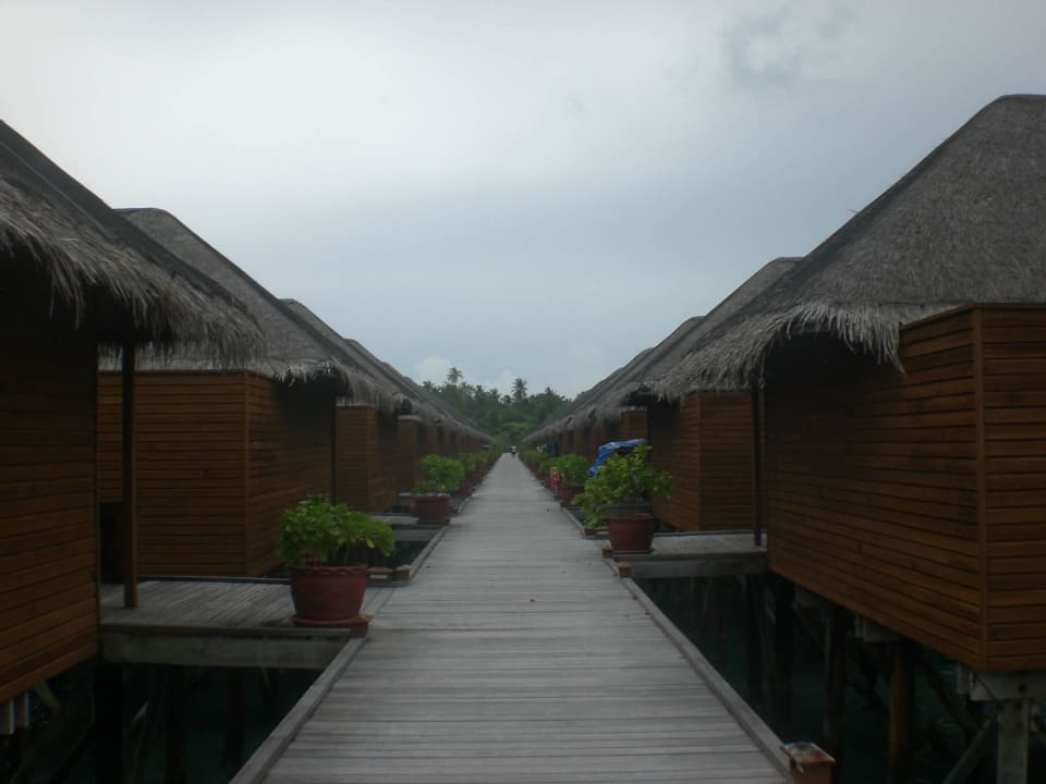 Wasserbungalows Meeru Maldives Resort Island