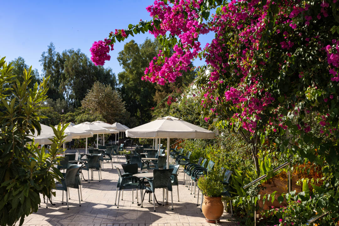 Gastro Irene Palace Beach Resort Club alltoura