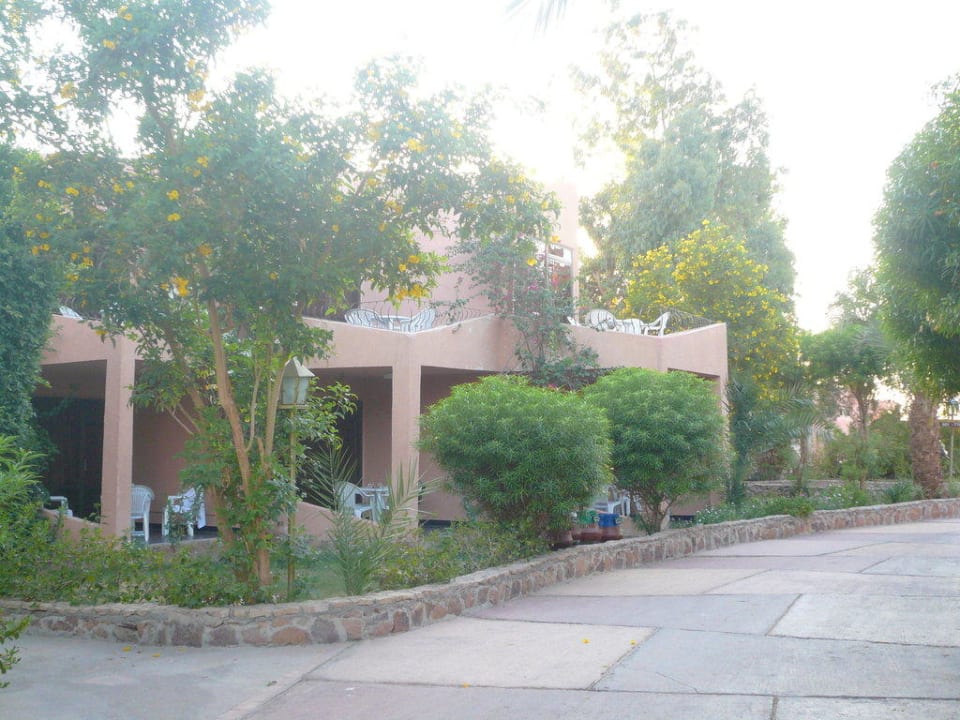 Blick zum Zimmer Eagles Paradise Abu Soma