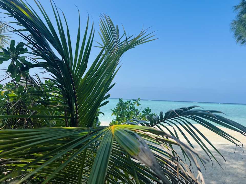 Strand Summer Island Maldives