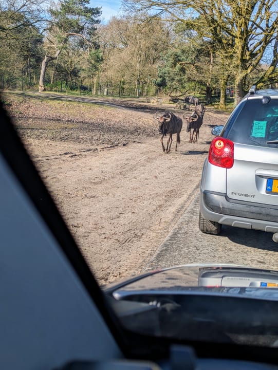 Sport & Freizeit Safari Hotel Beekse Bergen