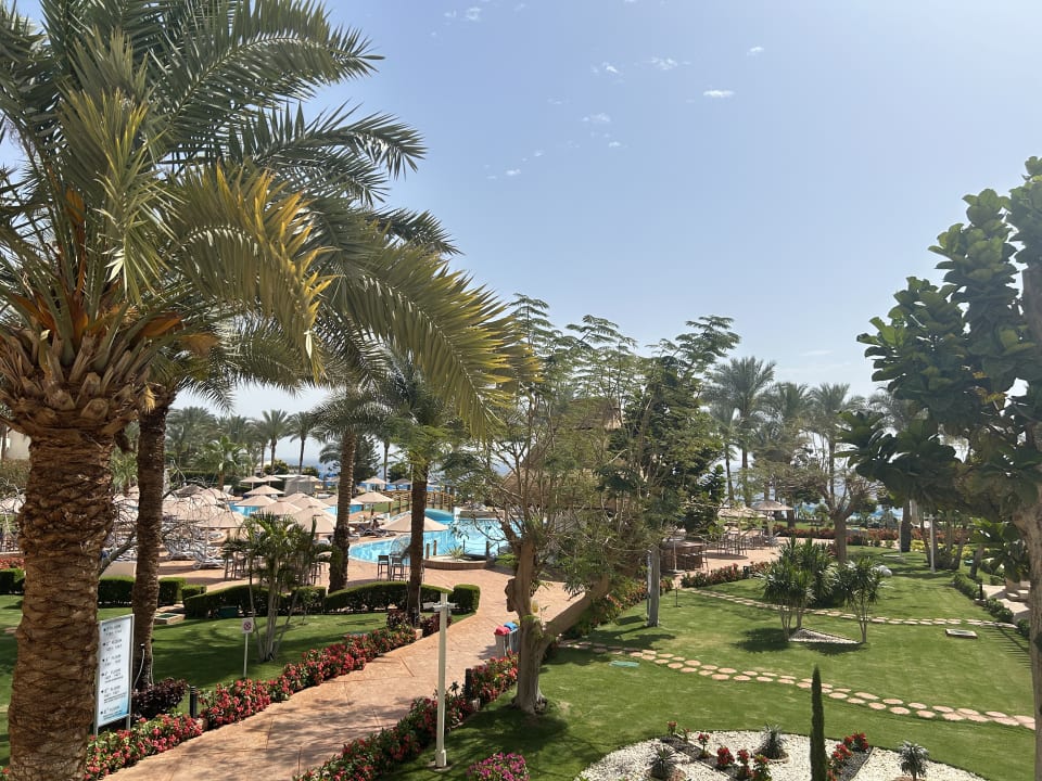 Außenansicht Pickalbatros Royal Grand Resort - Sharm El Sheikh