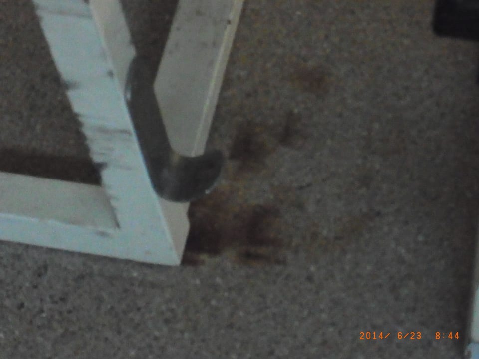 Mir fehlen die Worte Dorisol Estrelicia Hotel