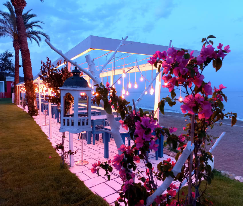 Gartenanlage TUI MAGIC LIFE Beldibi +16