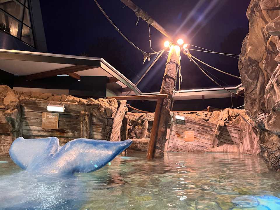 Pool Center Parcs De Kempervennen