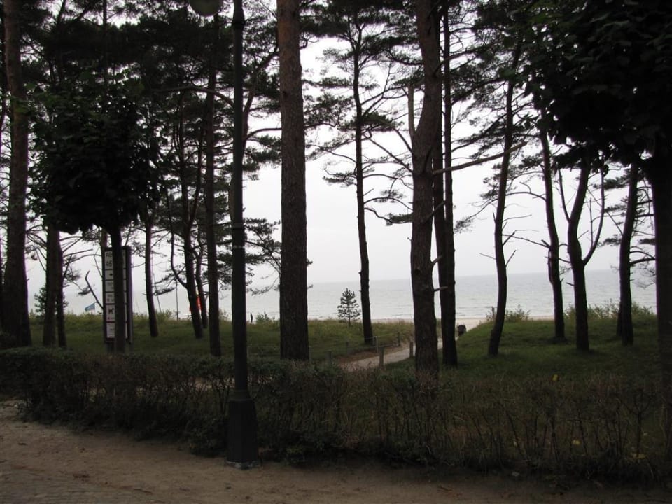 Blick zum Strand von Strand-Promenade aus IFA Rügen Hotel & Ferienpark