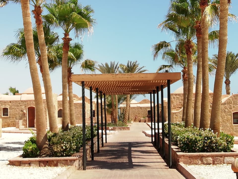 Gartenanlage Mövenpick Resort El Quseir