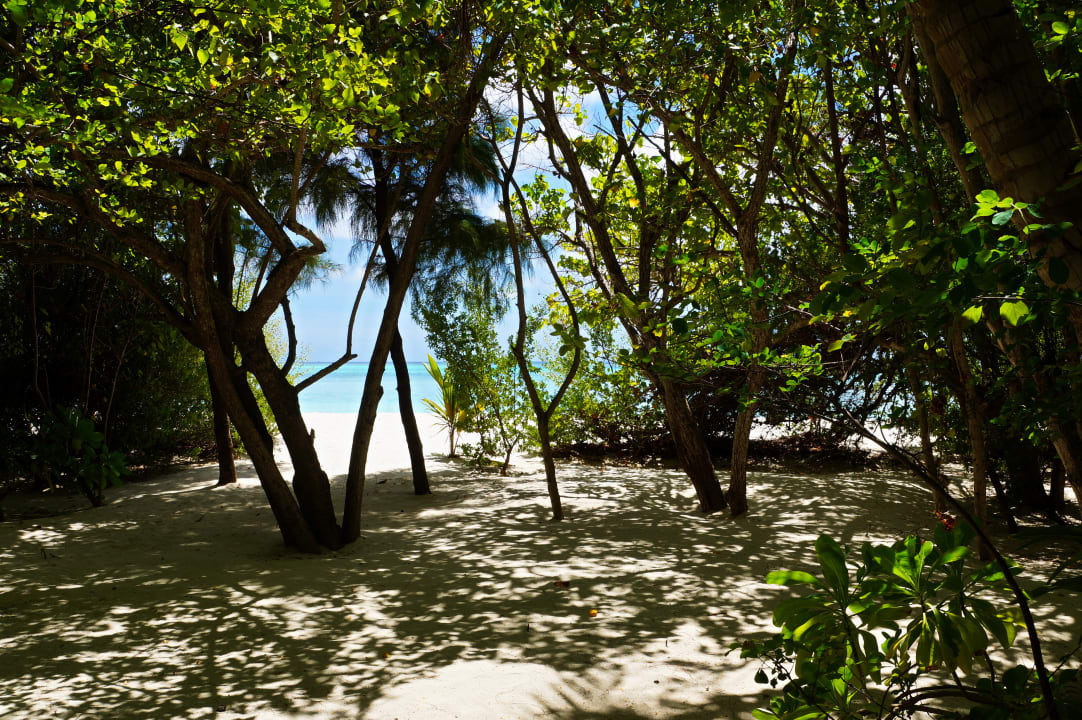 Gartenanlage Summer Island Maldives
