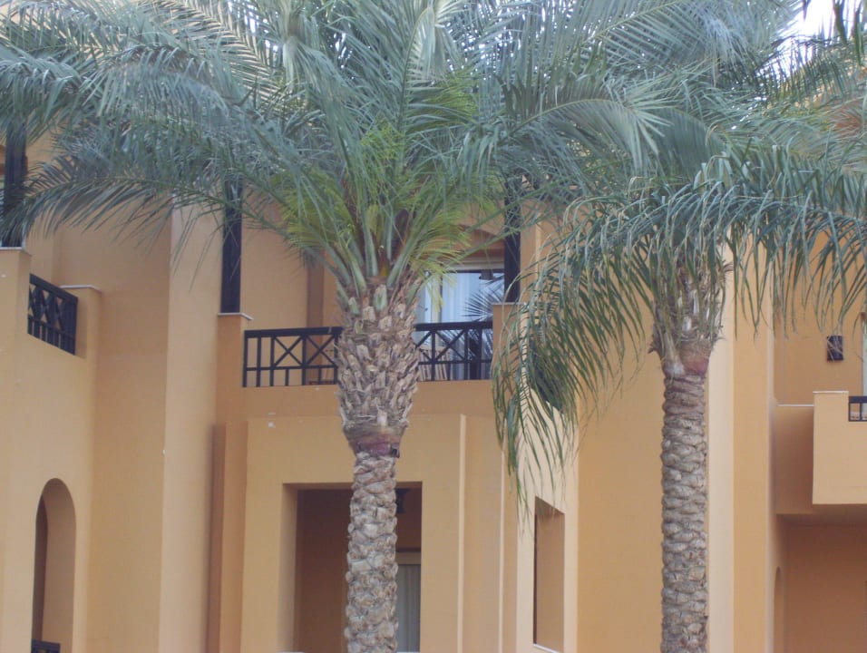 Mein zimmer mit Blick auf die pools Stella Beach Resort & Spa Makadi Bay