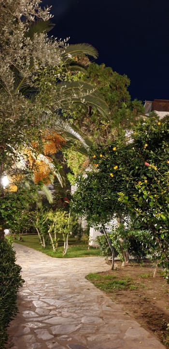 Gartenanlage Apollonia Beach Resort & Spa