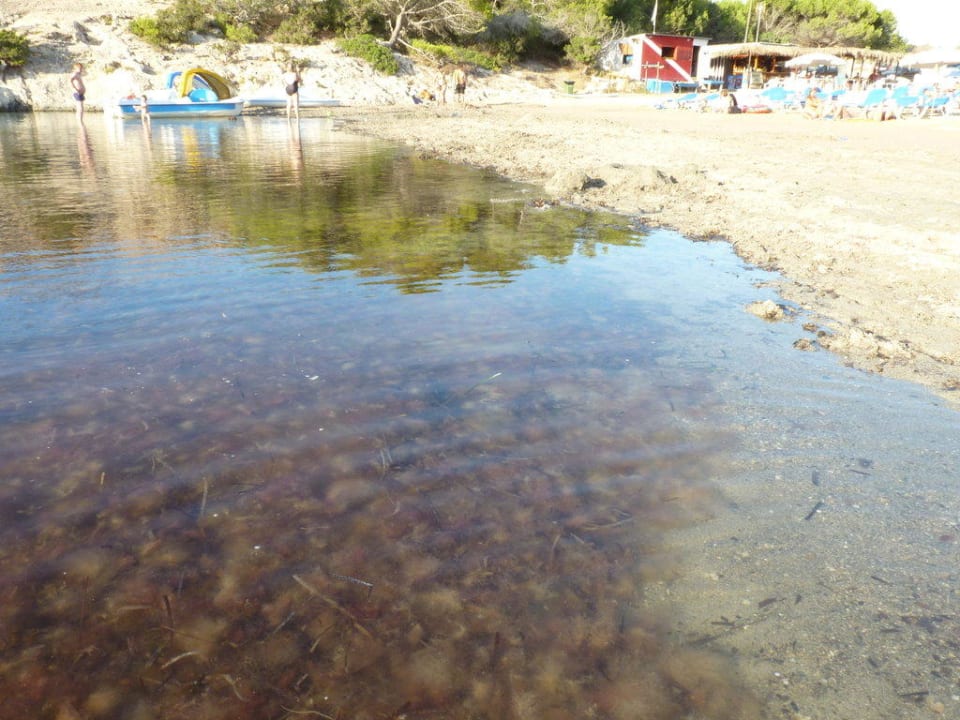 Algenstrand Barceló Portinatx - Adults only