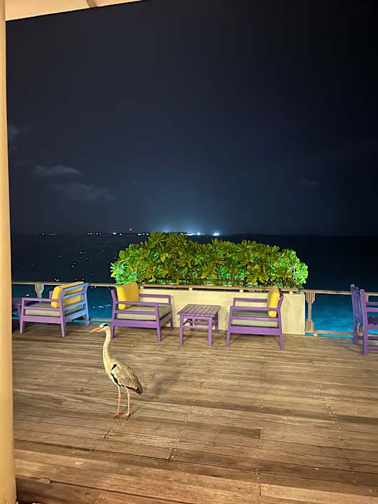 Gastro Villa Park Sun Island