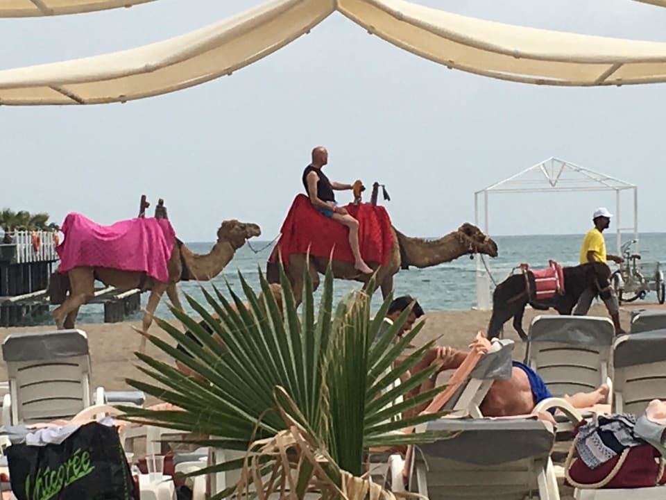 Strand Hotel Delphin Imperial