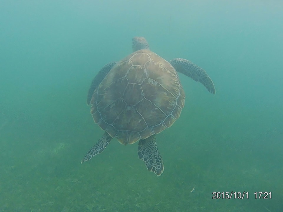 Sport & Freizeit Akumal Bay Beach & Wellness Resort