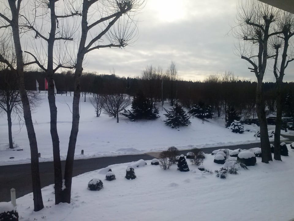 Blick aus Zimmer Golf & Sporthotel Wiesensee