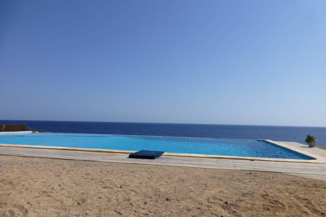 Pool The Oasis Dive Resort