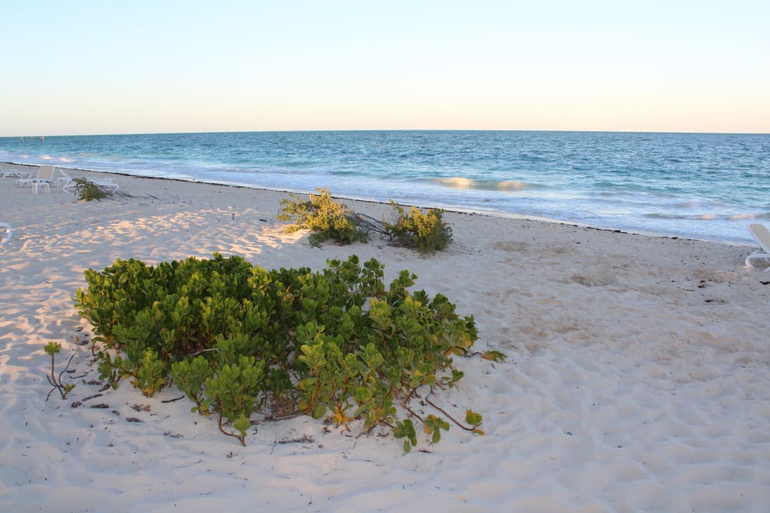 Strand Hotel Riu Dunamar