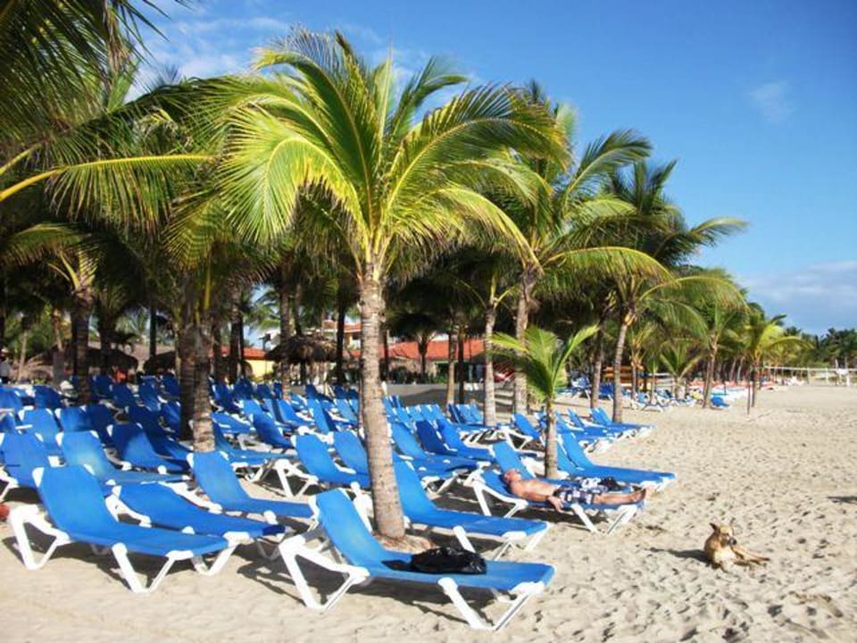Frühs am Strand Viva Tangerine by Wyndham - All Inclusive Resort