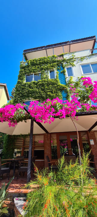 Außenansicht Hotel Gardenia Beach