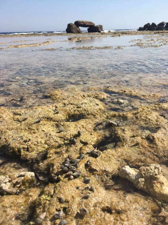 Strand Pickalbatros Citadel Resort