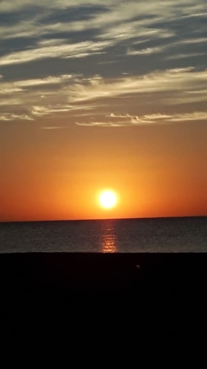 Strand Shams Prestige Abu Soma-Adults Only