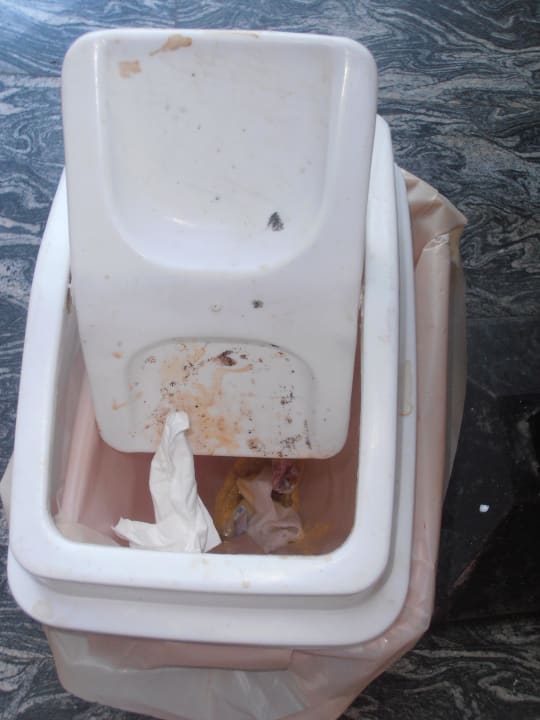 Kosz King Tut Resort