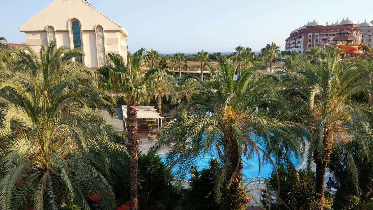 Pool Calimera Hane Garden
