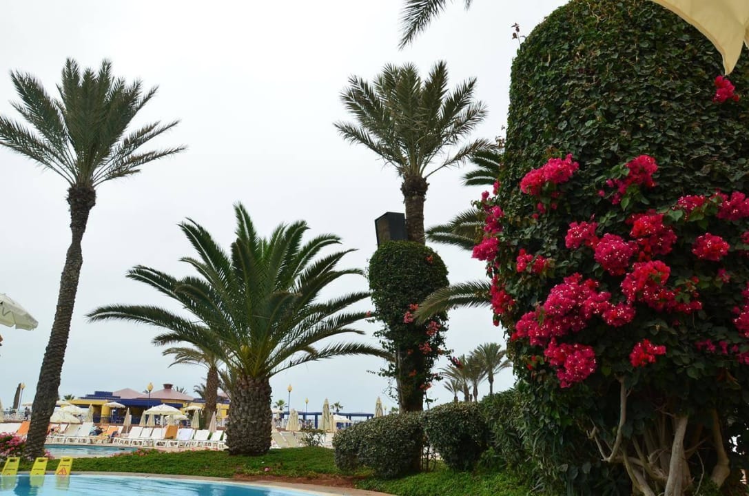 Ogrody Iberostar Waves Founty Beach