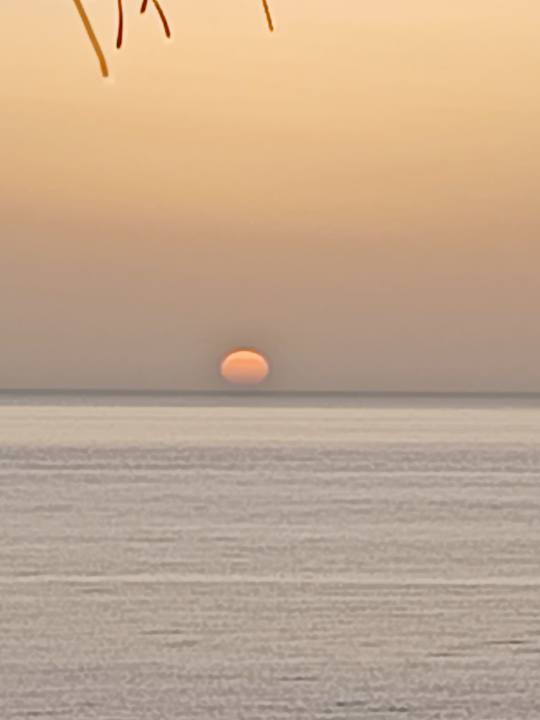 Ausblick Marina Playa Suite Hotel