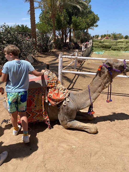 Strand Grand Waterworld Makadi