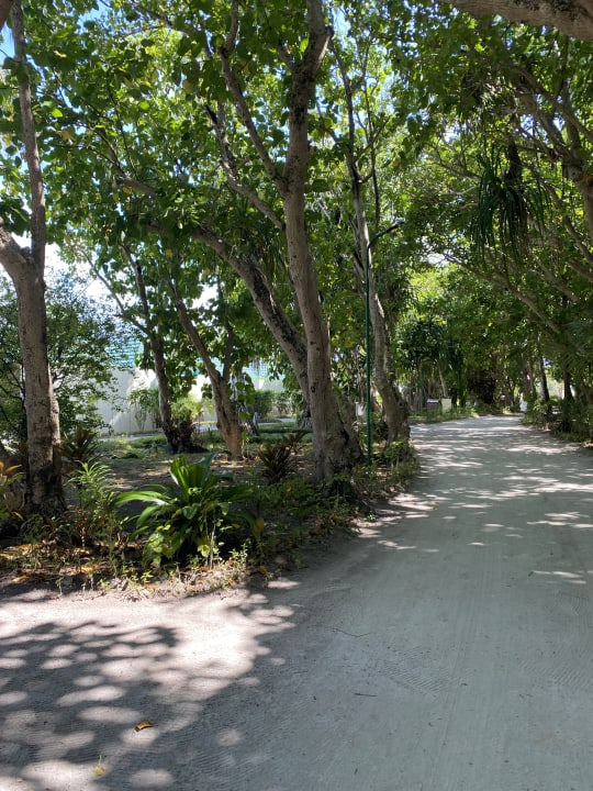 Außenansicht Meeru Maldives Resort Island