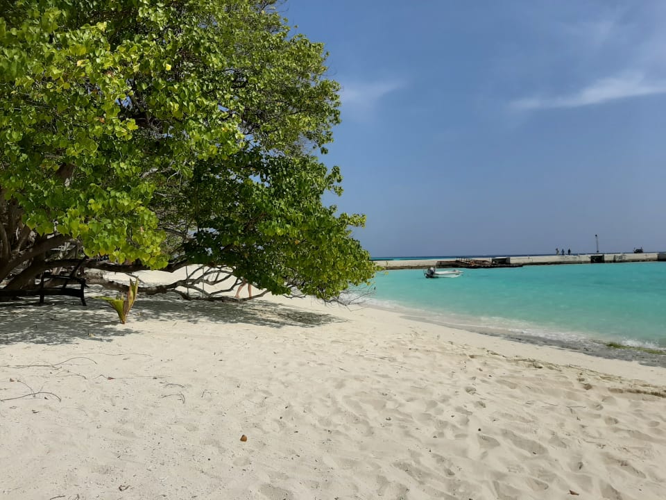 Strand Summer Island Maldives