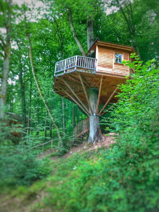 Außenansicht Baumhaushotel Seemühle