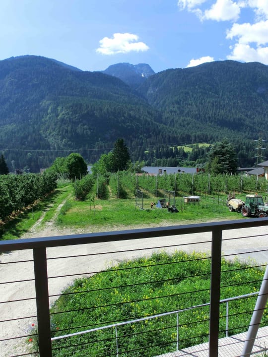 Blick aus Zimmer Hotel Agritur Anselmi