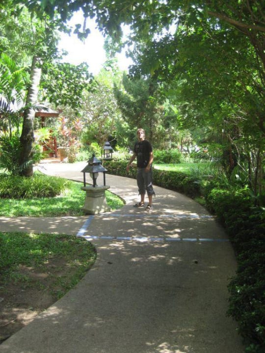 Grüner Garten The Fair House Beach Resort