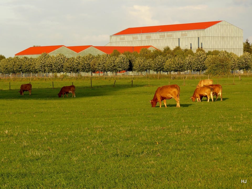 Sonstiges Ferienwohnung Eulenturm