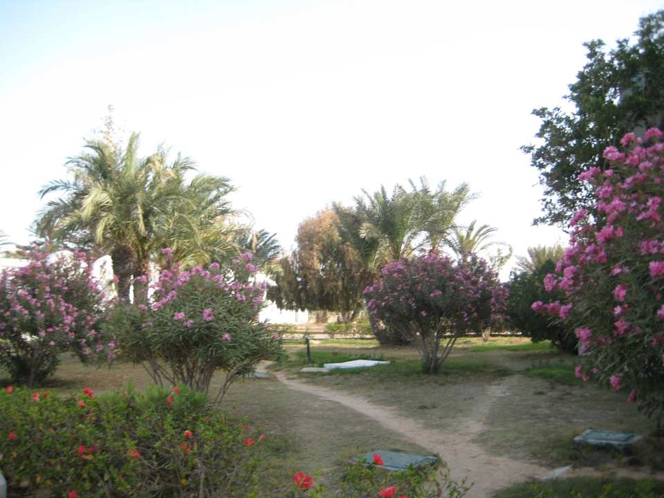 Garten Hotel El Mouradi Djerba Menzel