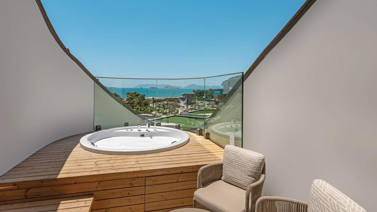 Zimmer Liberty Signa